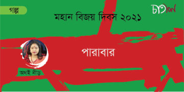 পারাবার।। অথই নীড়