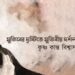 প্রবন্ধ।। মুজিবের দৃষ্টিতে মুজিবীয় দর্শন।। কৃষ্ণ কান্ত বিশ্বাস